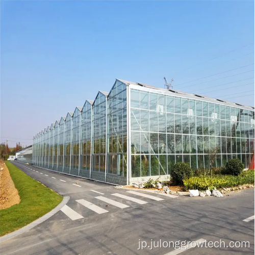 商業的なインテリジェントな水耕栽培ガラス温室